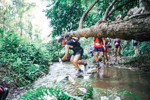 BIB: 
                            <button type="button" onclick="openModal(25454647)" class="btn btn-primary btn-sm float-right btn-popup" data-toggle="modal" data-target=".modal-high-quality">
                        <i class="fas fa-shopping-cart"></i> Add to Cart
                    </button>
                                            <button type="button" onclick="isThisMe(25454647, true)" class="btn btn-success btn-sm float-right btn-popup btn-isme hidden" data-toggle="tooltip" data-placement="bottom" title="นี่คือรูปของคุณใช่ไหม คลิกที่นี่เพื่อเอาเข้าอัลบั้ม">
                        <i class="fas fa-plus"></i> Add to album
                    </button>
                    <button type="button" onclick="isThisMe(25454647, false)" class="btn btn-warning btn-sm float-right btn-popup btn-isnotme hidden">
                        <i class="fas fa-ban"></i> Remove from album
                    </button>